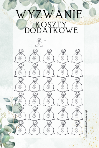 koszty dodatkowe1.png