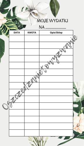 Moje wydatki