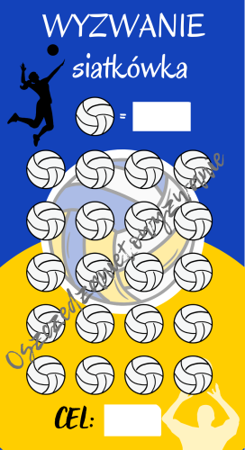 Wyzwanie Siatkówka