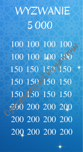 Wyzwanie 5000